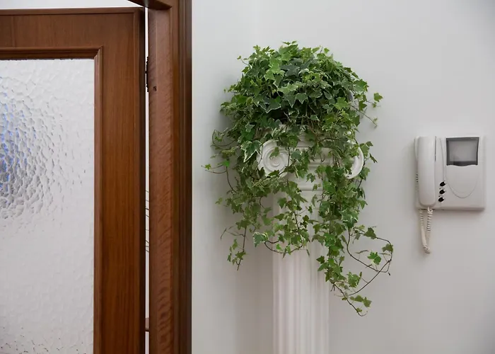 Saint Peter Apartment
